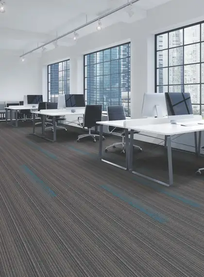 Office Carpet Solutions